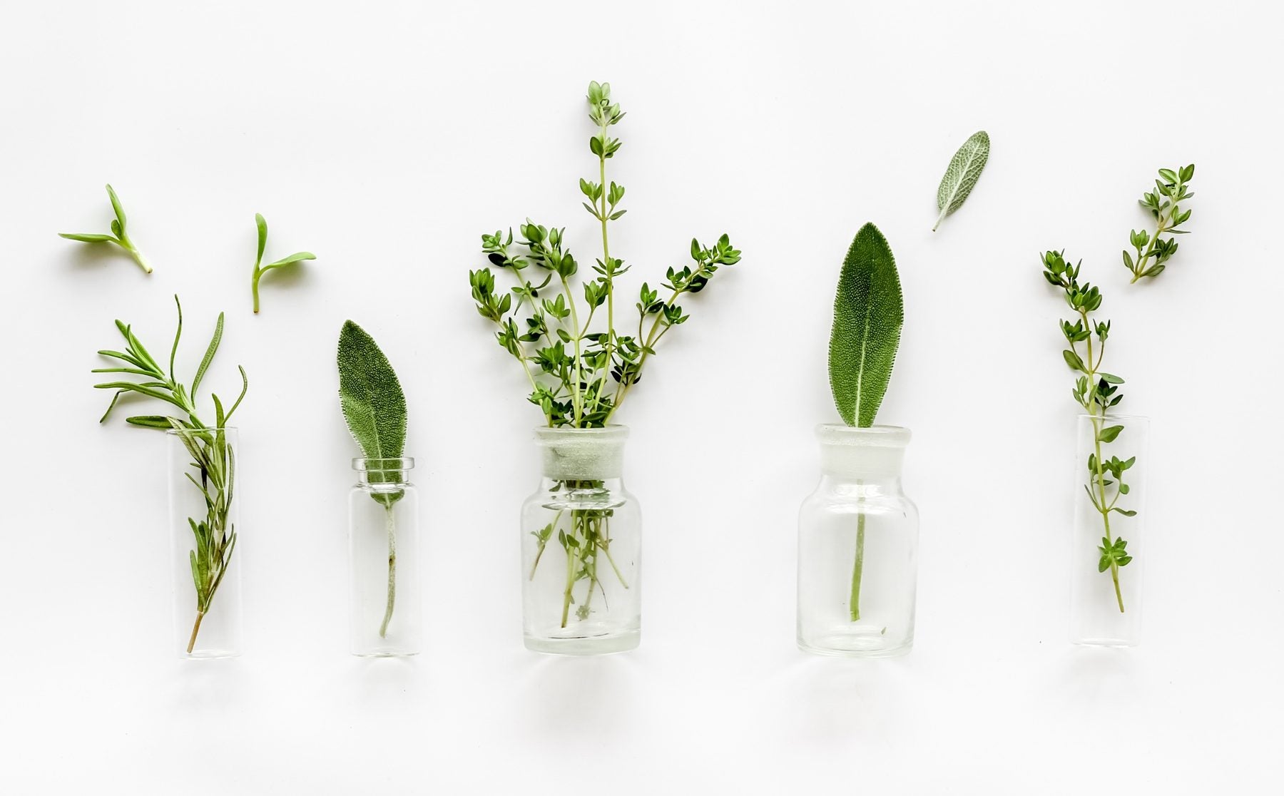 Fresh herbs standing in small glass bottles on a white table